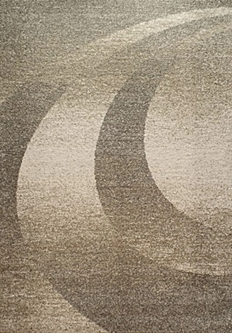 casa_elegance Area Rugs 1803-061